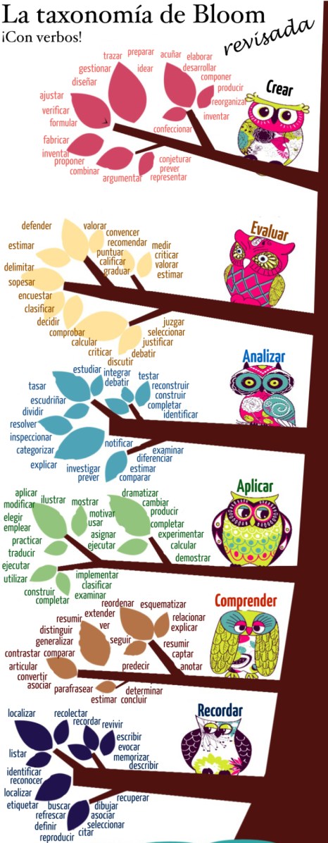 Taxonomía_BLOOM.jpg